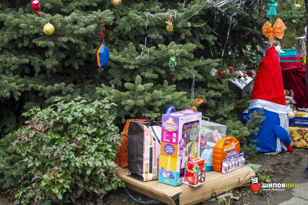 цветик семицветик подарки.jpg